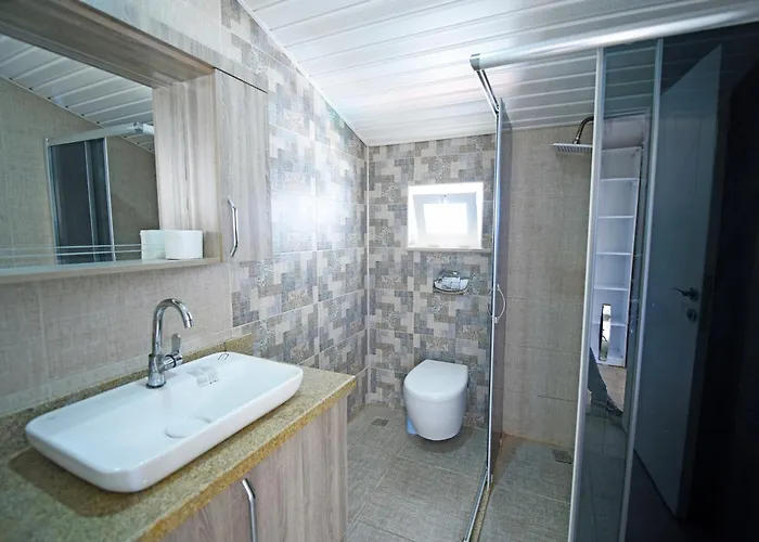 Bluehomes بيليك